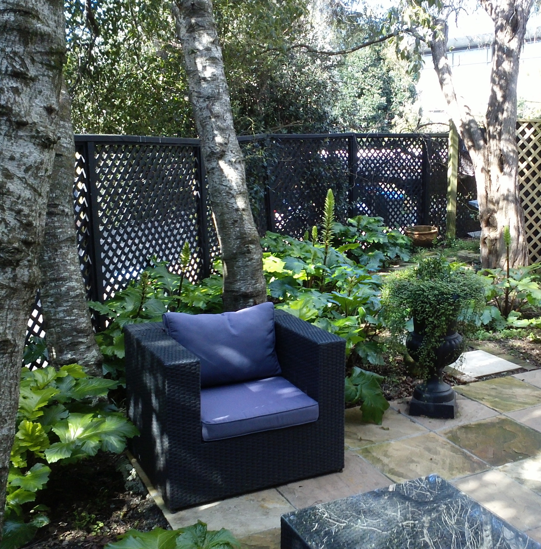 Auckland city courtyard