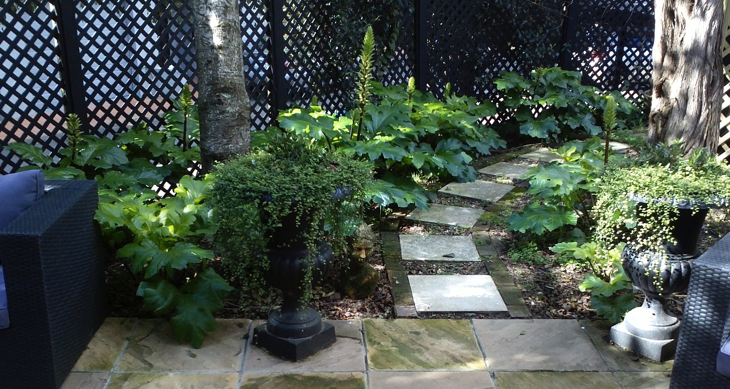 Auckland city courtyard