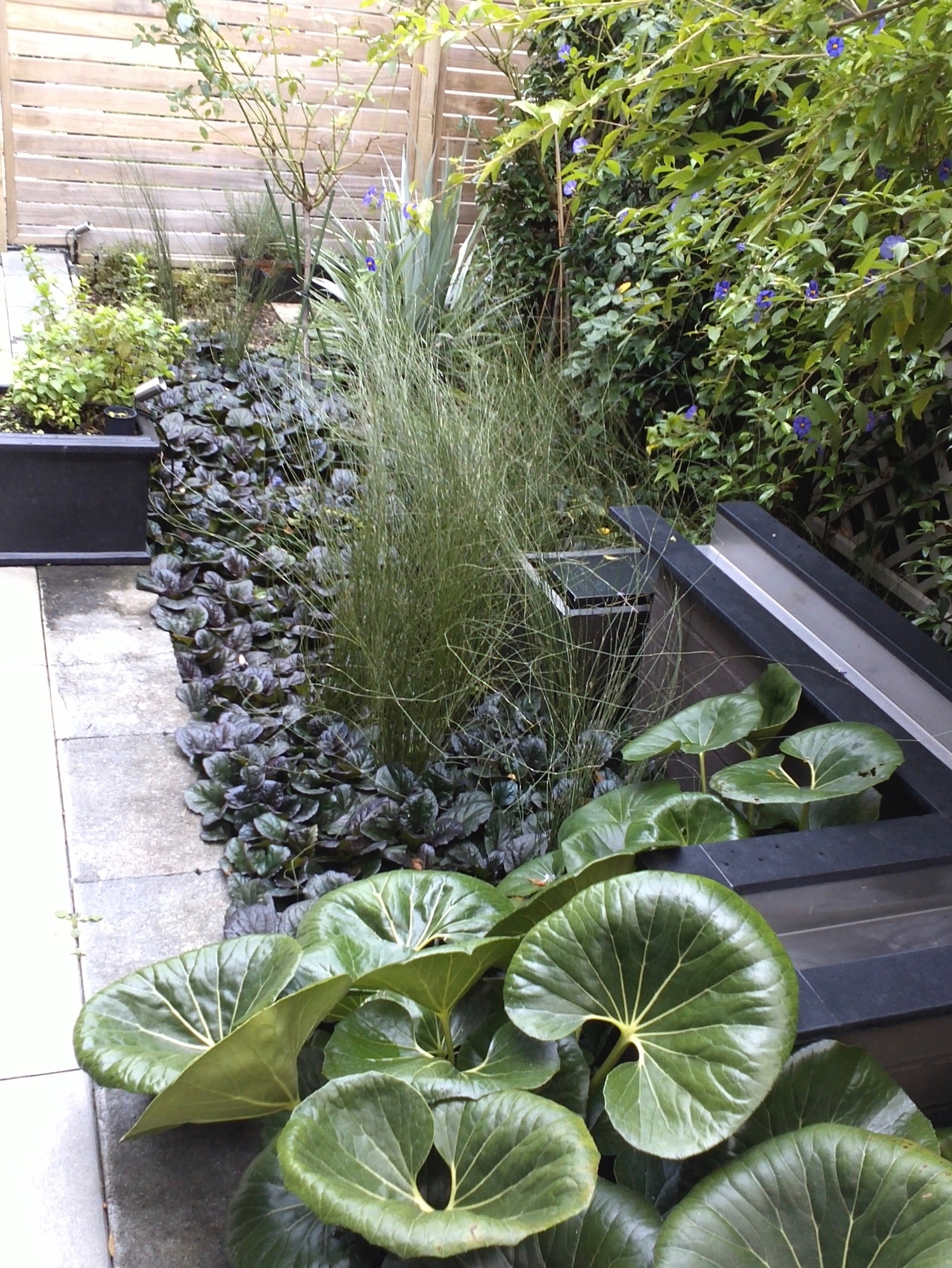 Stonefields water feature
