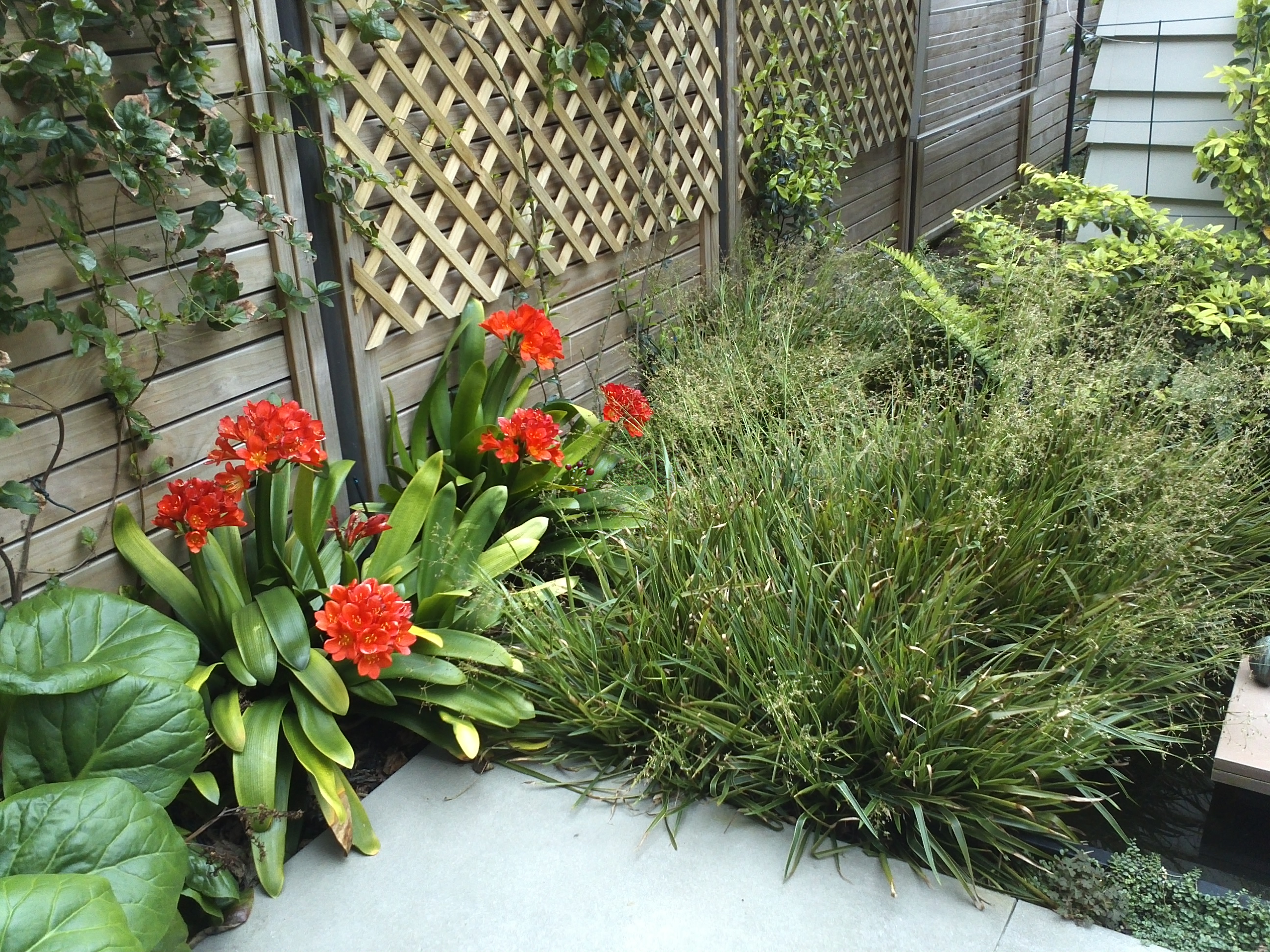 Planting detail Stonefields