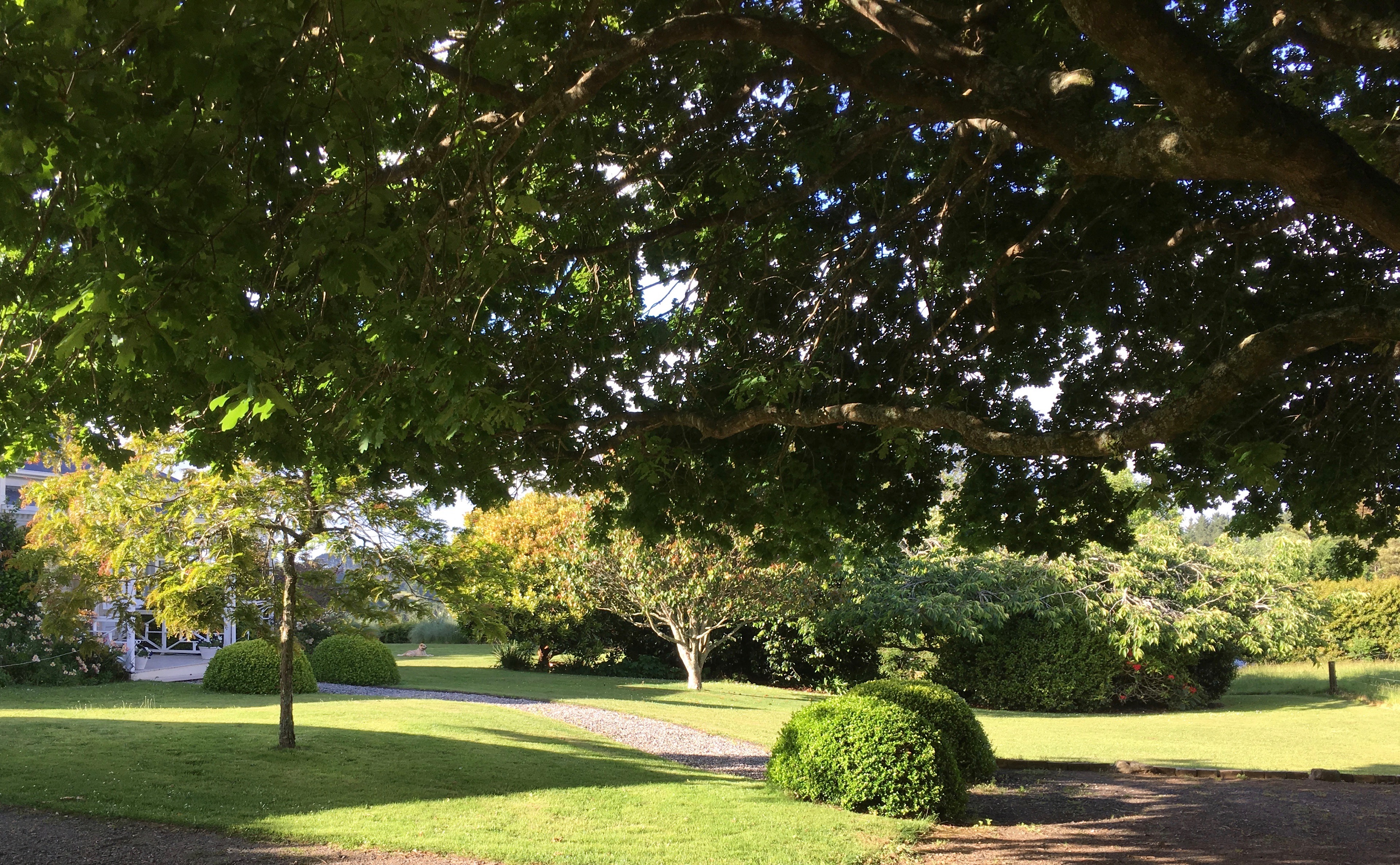 Large country garden