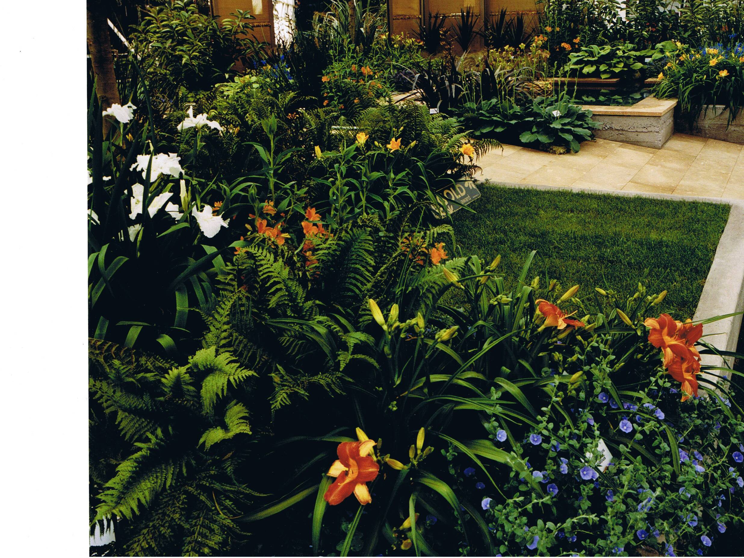 Michael Hill planting detail