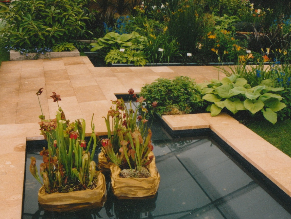 Michael Hill exhibit small ponds