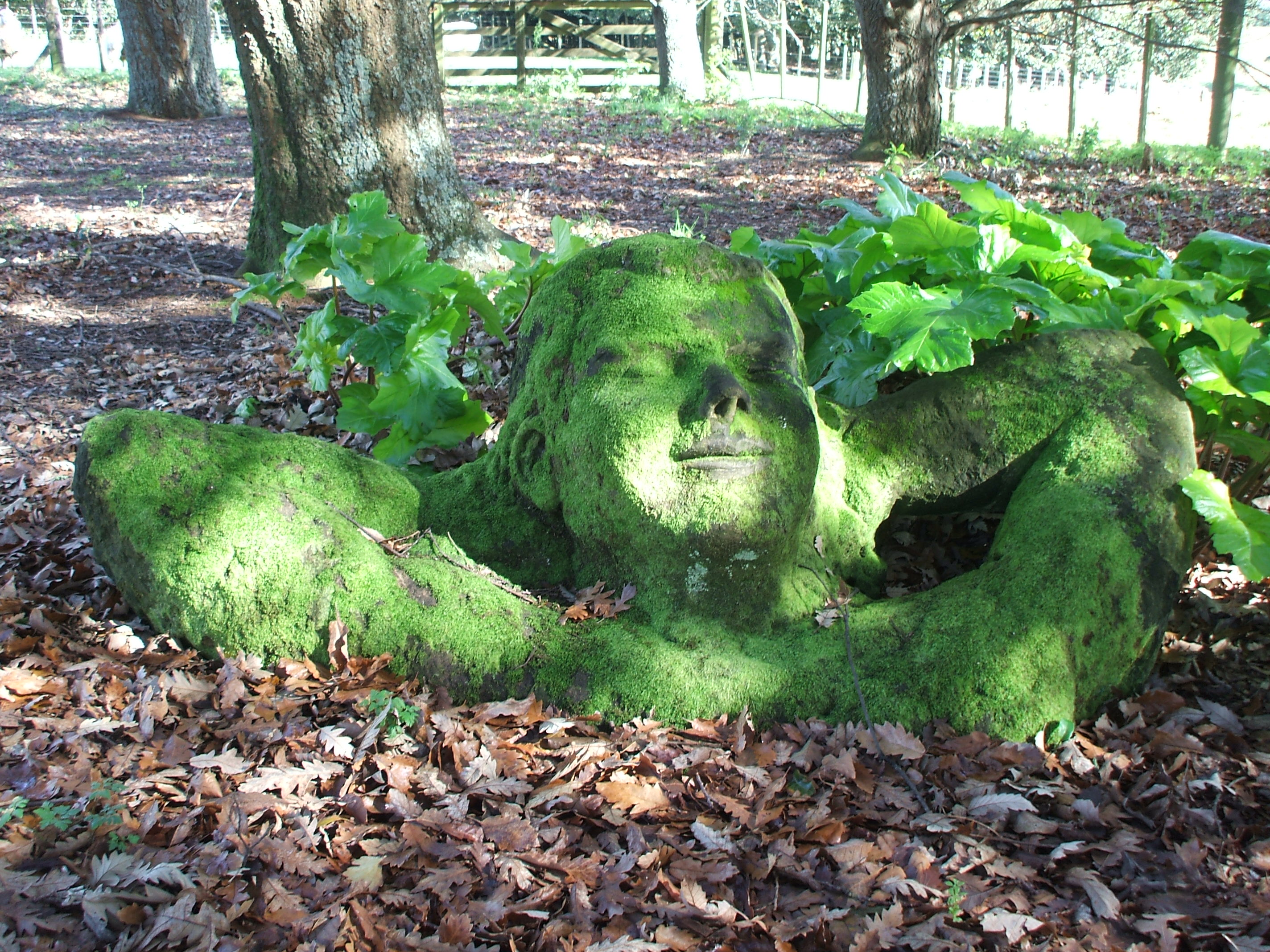 Sculpture in woodland